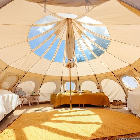 Eco Ceiba 호텔 Busque 외부 사진