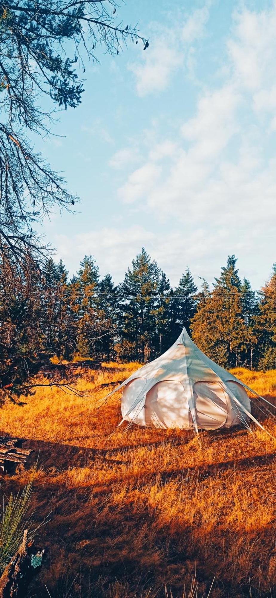 Eco Ceiba 호텔 Busque 외부 사진