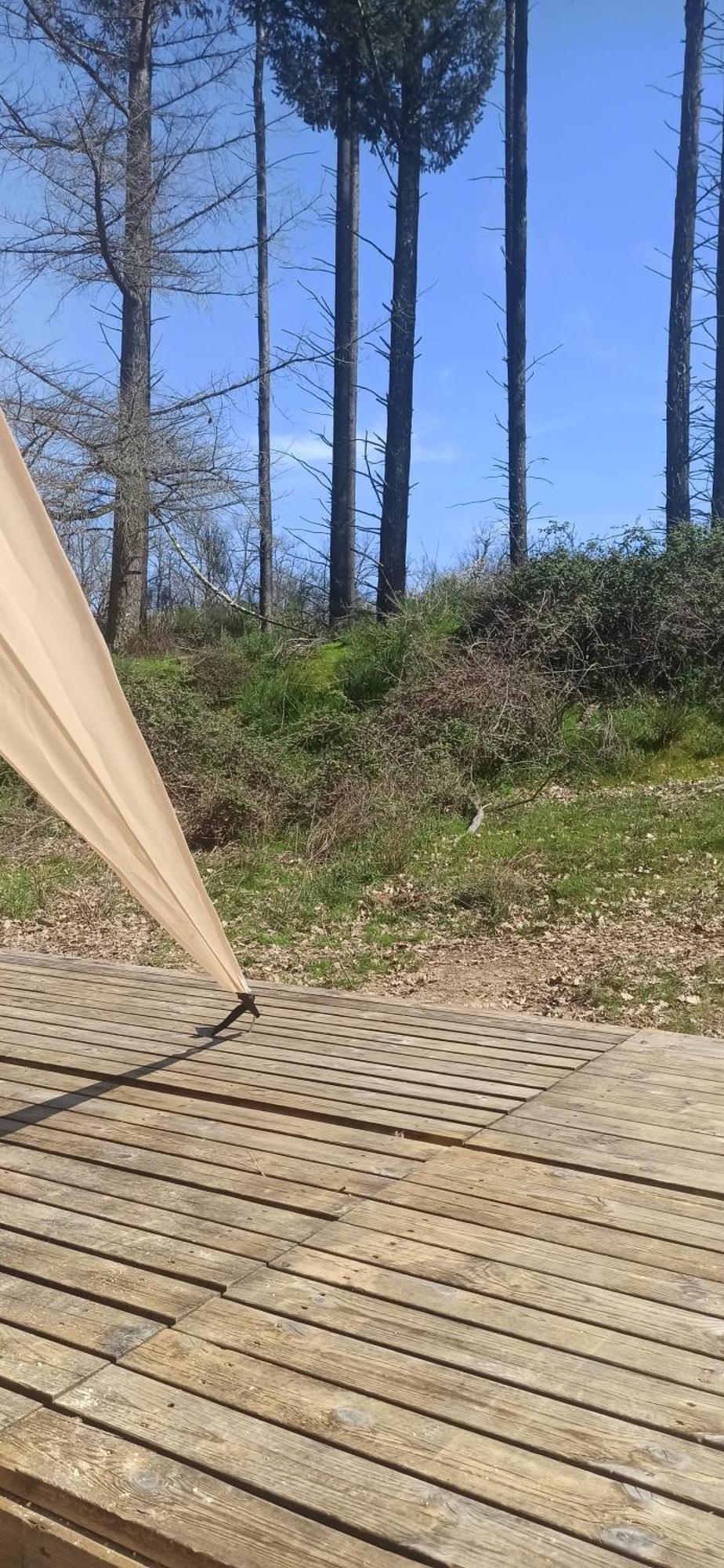 Eco Ceiba 호텔 Busque 외부 사진