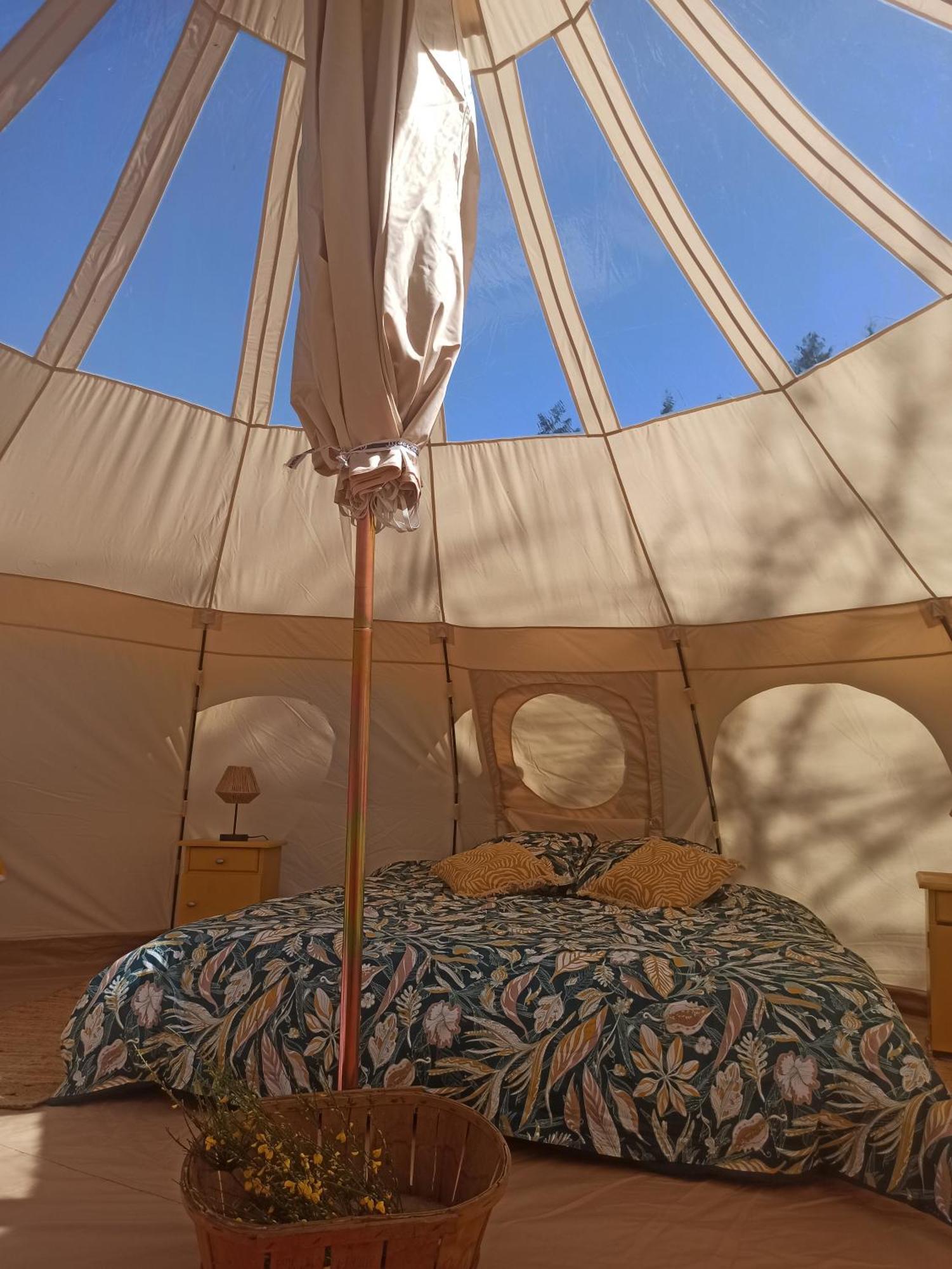 Eco Ceiba 호텔 Busque 외부 사진
