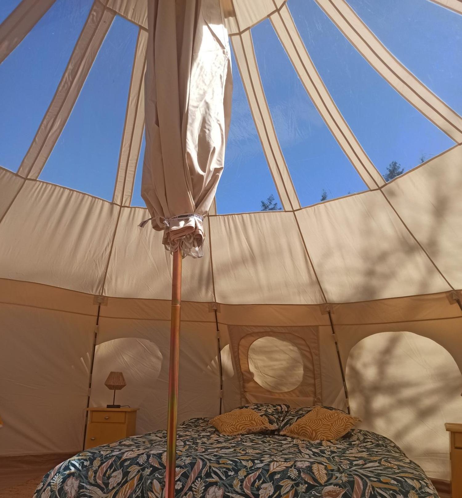 Eco Ceiba 호텔 Busque 외부 사진